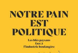 Politique