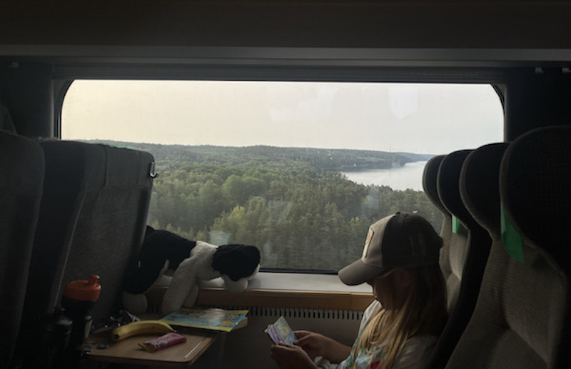 Dans un train, quelque part en Suède © Archives personnelles de G. Décarsin