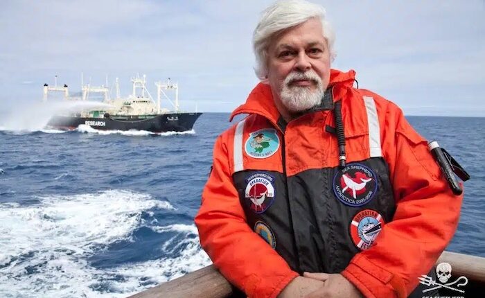 La détention de Paul Watson prolongée jusqu'au 2 octobre © Sea Sheperd France