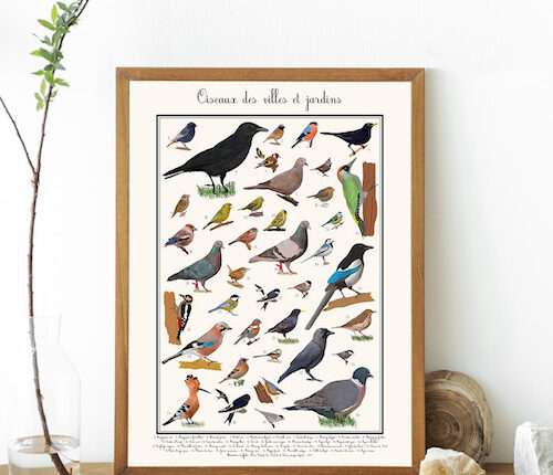 Affiche des oiseaux des villes et jardins © La ligue de protection des oiseaux